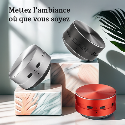 Le mini haut-parleur bleutooth